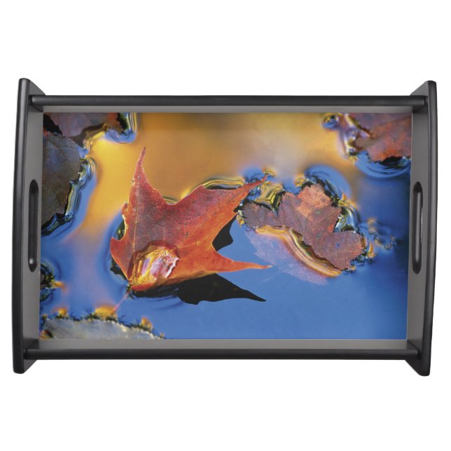 USA, Northeast, Maple Leaf in Reflection Serving Tray (Front)