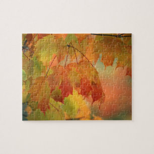 USA, Northeast, Maple Leaves in Rain. Credit as: Jigsaw Puzzle