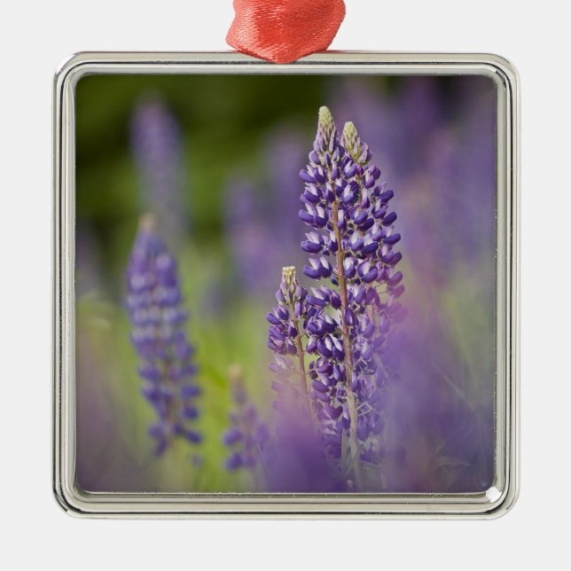 USA, Northeastern Minnesota, near Silver Bay, Metal Ornament (Front)