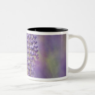 USA, Northeastern Minnesota, near Silver Bay, Two-Tone Coffee Mug