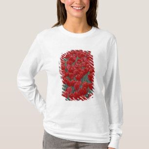 USA, Ohio, Cincinnati. Bed of red tulips T-Shirt