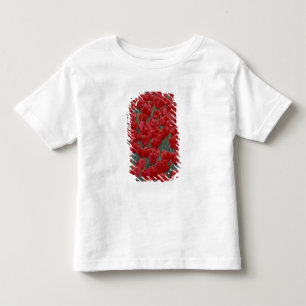 USA, Ohio, Cincinnati. Bed of red tulips Toddler T-shirt
