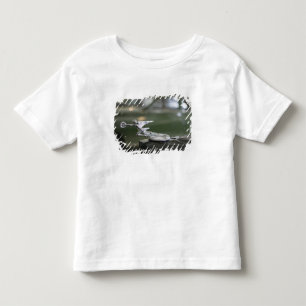 USA, Ohio, Dayton: America’s Packard Museum Toddler T-shirt