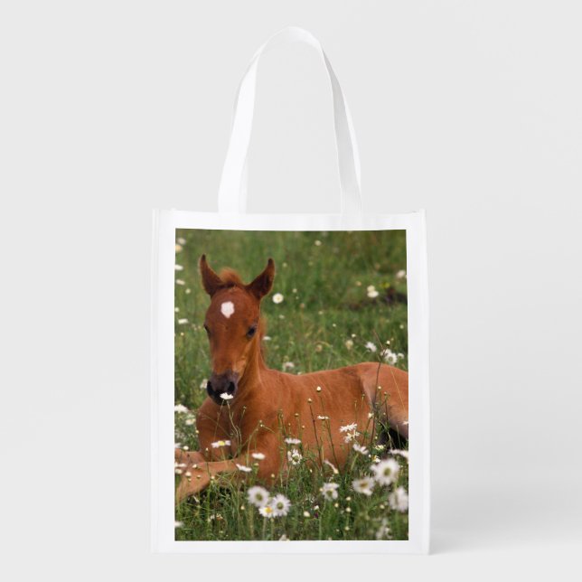 USA, Oregon, Arabian Pony. Reusable Grocery Bag (Front)