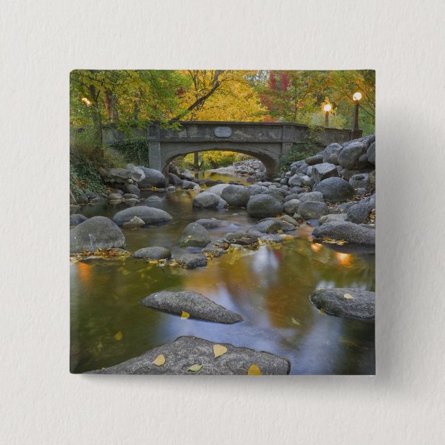 USA, Oregon, Ashland, Lithia Park. Autumn Button (Front)