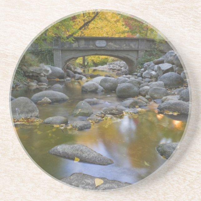 USA, Oregon, Ashland, Lithia Park. Autumn Drink Coaster (Front)