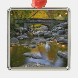 USA, Oregon, Ashland, Lithia Park. Autumn Metal Ornament