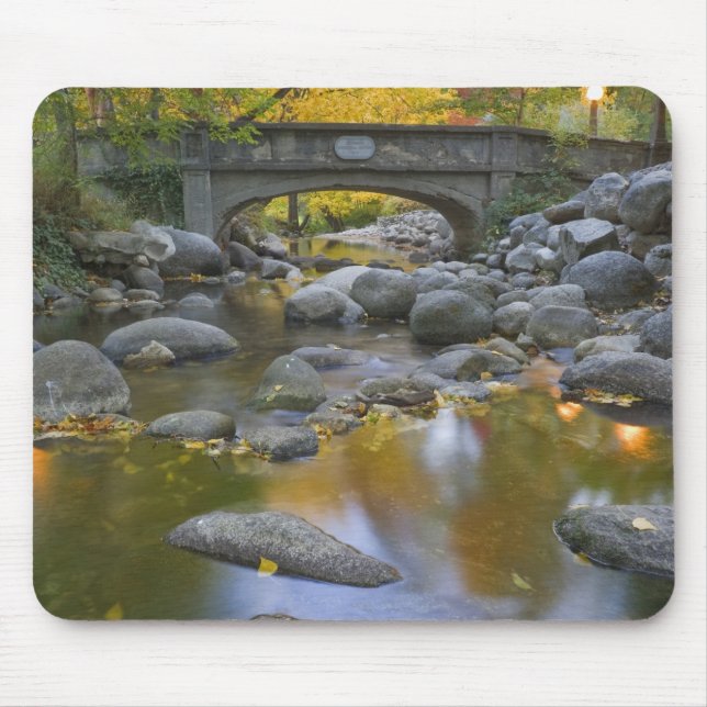 USA, Oregon, Ashland, Lithia Park. Autumn Mouse Pad (Front)