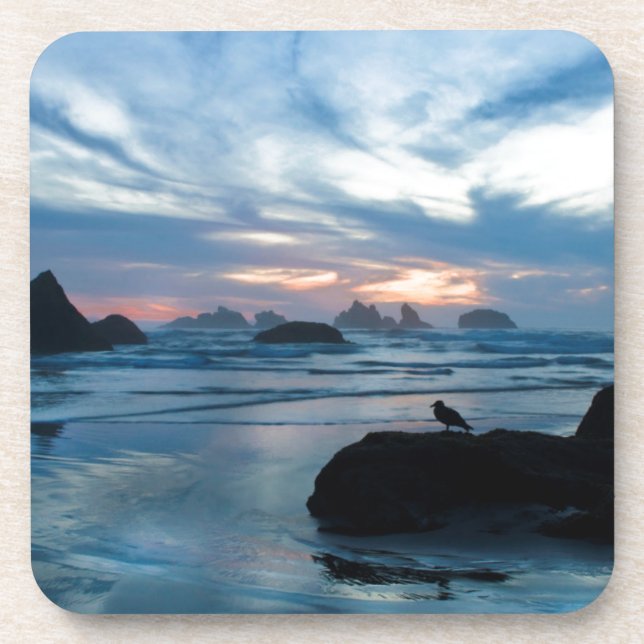 USA, Oregon, Bandon Beach. Seagull on rock Beverage Coaster (Front)