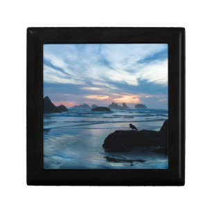 USA, Oregon, Bandon Beach. Seagull on rock Jewelry Box