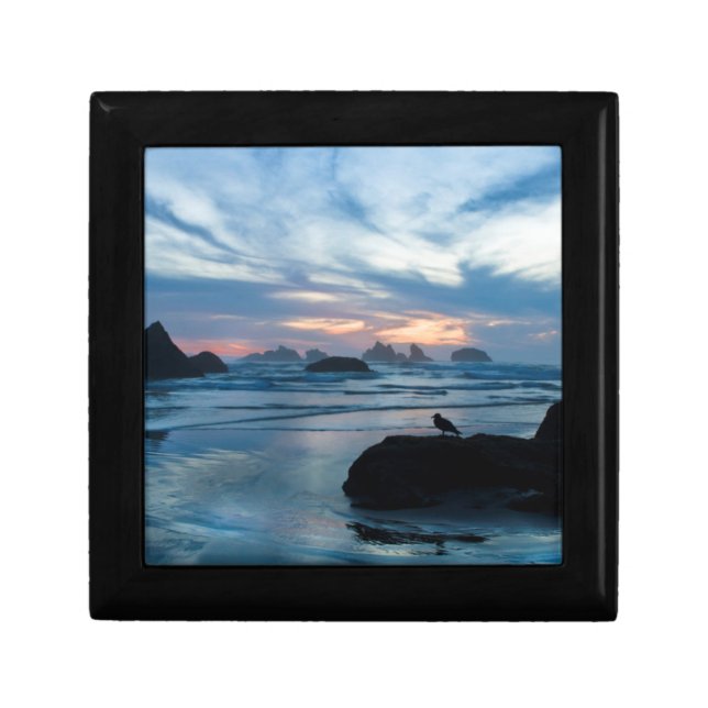 USA, Oregon, Bandon Beach. Seagull on rock Jewelry Box (Front)