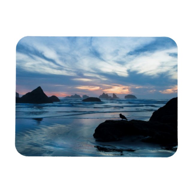 USA, Oregon, Bandon Beach. Seagull on rock Magnet (Horizontal)