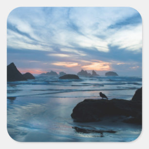 USA, Oregon, Bandon Beach. Seagull on rock Square Sticker