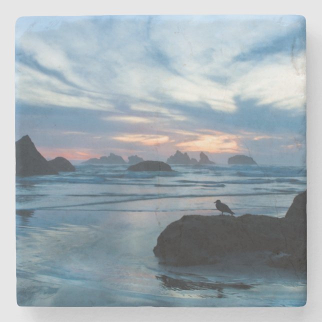 USA, Oregon, Bandon Beach. Seagull on rock Stone Coaster (Front)