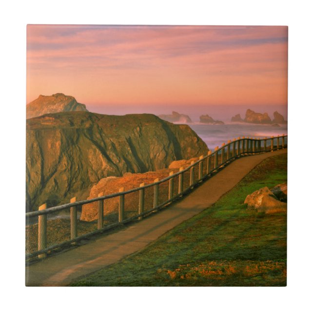 USA, Oregon, Bandon. Rocks Viewed From Trail Ceramic Tile (Front)