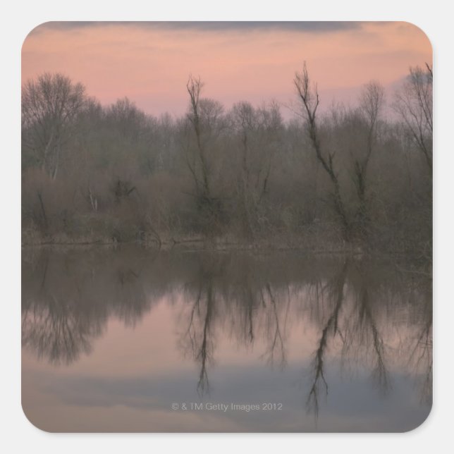 USA, Oregon, Bare trees reflecting in lake at Square Sticker (Front)