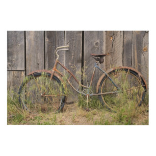 USA, Oregon, Bend. A dilapidated old bike Wood Wall Art
