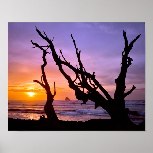 USA Oregon Cape Meares Sunset Poster