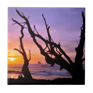 USA, Oregon, Cape Meares. Sunset Tile