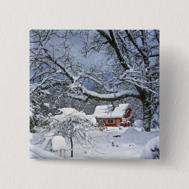 USA, Oregon, Clackamas County. Fresh snow Button (Front)