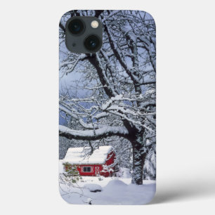 USA, Oregon, Clackamas County. Fresh snow covers