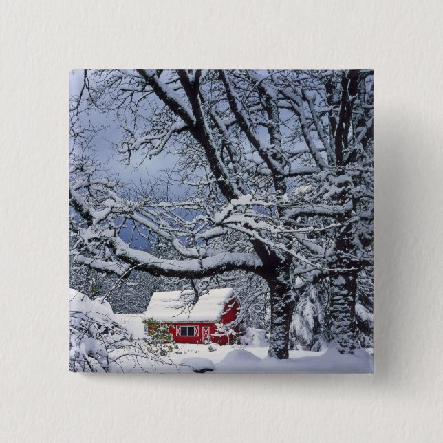 USA, Oregon, Clackamas County. Fresh snow covers Button (Front)