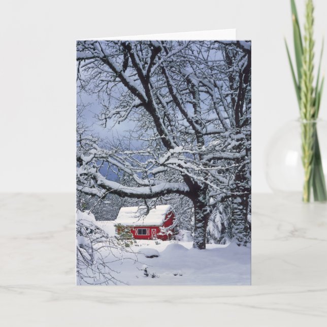 USA, Oregon, Clackamas County. Fresh snow covers Holiday Card (Front)