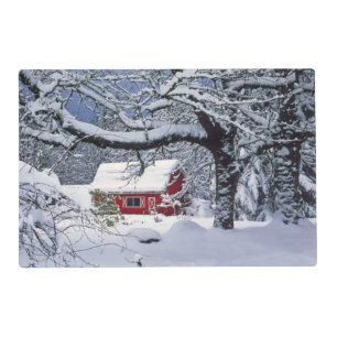USA, Oregon, Clackamas County. Fresh snow covers Placemat