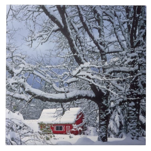 USA, Oregon, Clackamas County. Fresh snow covers Tile (Front)