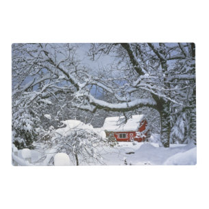 USA, Oregon, Clackamas County. Fresh snow Placemat
