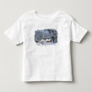 USA, Oregon, Clackamas County. Fresh snow Toddler T-shirt