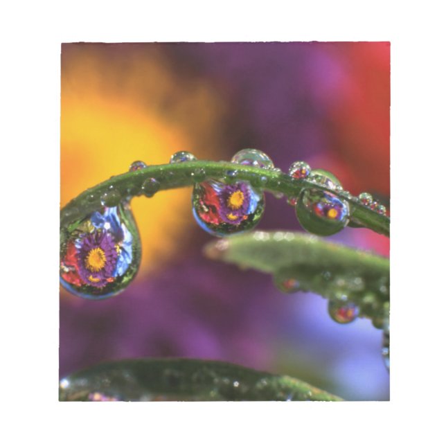 USA, Oregon, Close-up abstract of purple Notepad (Front)