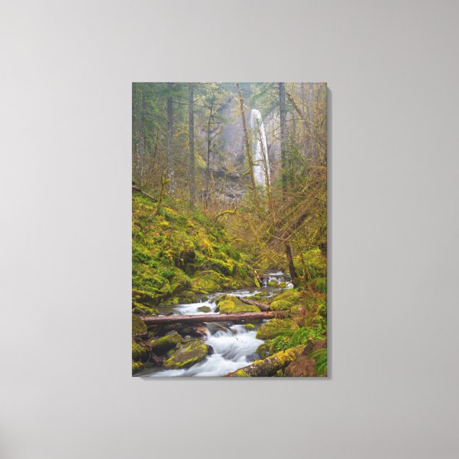 USA, Oregon, Columbia Gorge Canvas Print (Front)