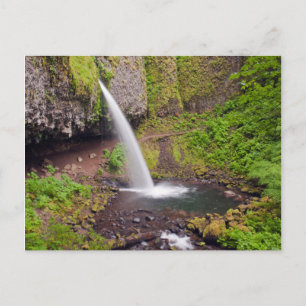USA, Oregon, Columbia River Gorge 4 Postcard
