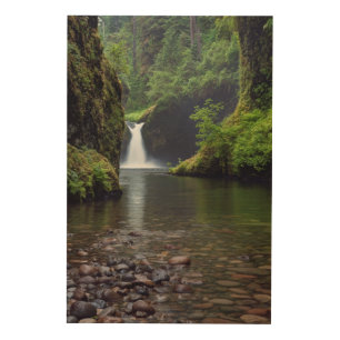 USA, Oregon, Columbia River Gorge 4 Wood Wall Decor