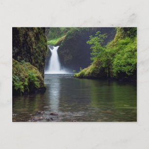 USA, Oregon, Columbia River Gorge 5 Postcard