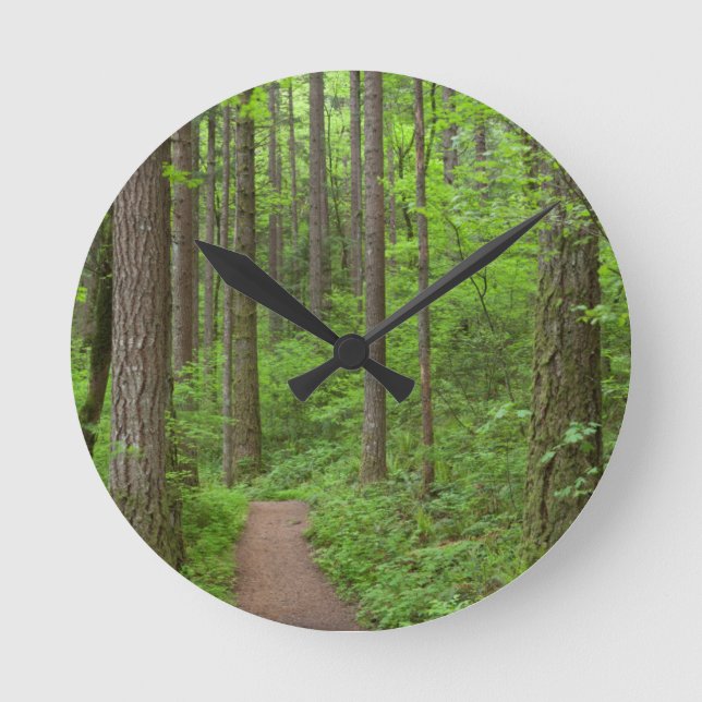 USA, Oregon, Columbia River Gorge. Elowah Falls Round Clock (Front)