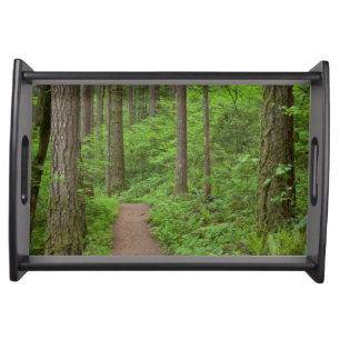 USA, Oregon, Columbia River Gorge. Elowah Falls Serving Tray