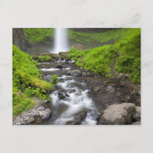 USA, Oregon, Columbia River Gorge, Latourell Postcard
