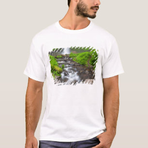 USA, Oregon, Columbia River Gorge, Latourell T-Shirt