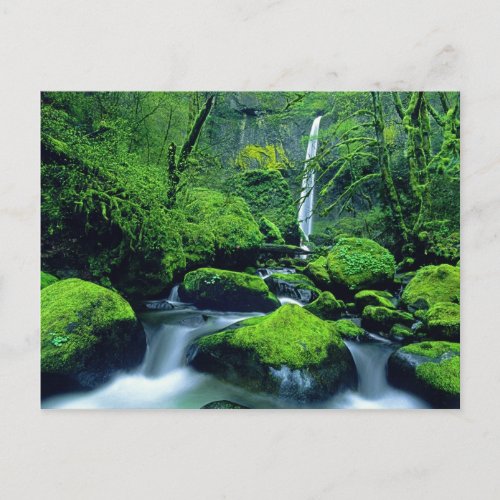 USA Oregon Columbia River Gorge National 2 Postcard