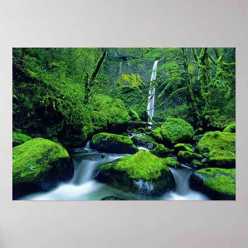 USA Oregon Columbia River Gorge National 2 Poster