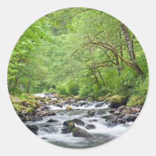 USA, Oregon, Columbia River Gorge, Tanner Creek 4 Classic Round Sticker