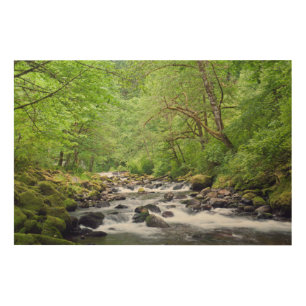 USA, Oregon, Columbia River Gorge, Tanner Creek 4 Wood Wall Decor