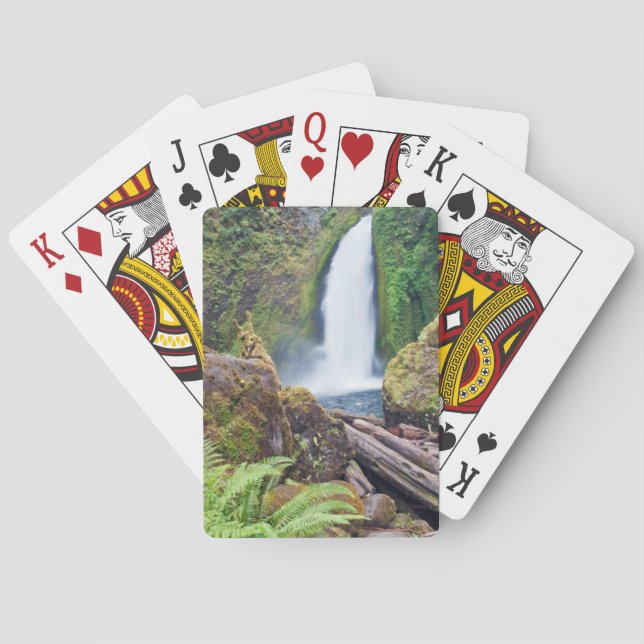 USA, Oregon, Columbia River Gorge, Wahclella Poker Cards (Back)