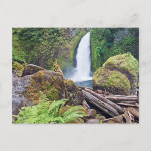 USA, Oregon, Columbia River Gorge, Wahclella Postcard