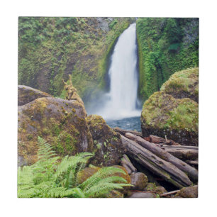 USA, Oregon, Columbia River Gorge, Wahclella Tile