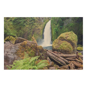 USA, Oregon, Columbia River Gorge, Wahclella Wood Wall Decor