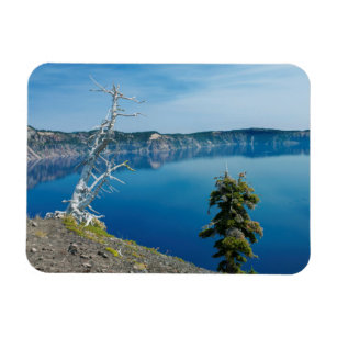 Crater Lake NP Magnet by ADG