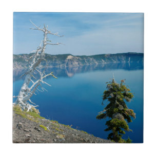 USA, Oregon, Crater Lake National Park 4 Tile